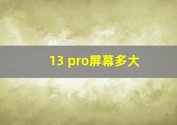 13 pro屏幕多大